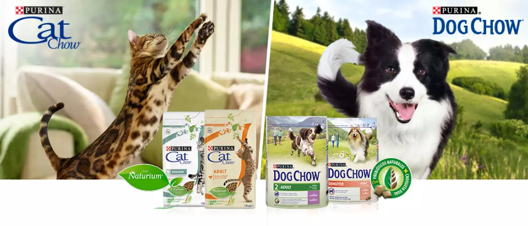Конкурс Purina Cat Chow/Dog Chow и Woop: «Разумный выбор для их особых потребностей»