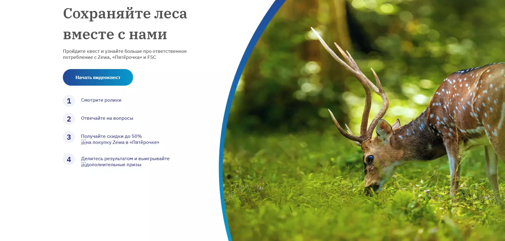 Акция Пятерочка и Zewa «Сохраняйте леса России вместе с нами»