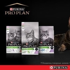Акция Purina Pro Plan и Petshop.ru: «Purina Pro Plan Steril»